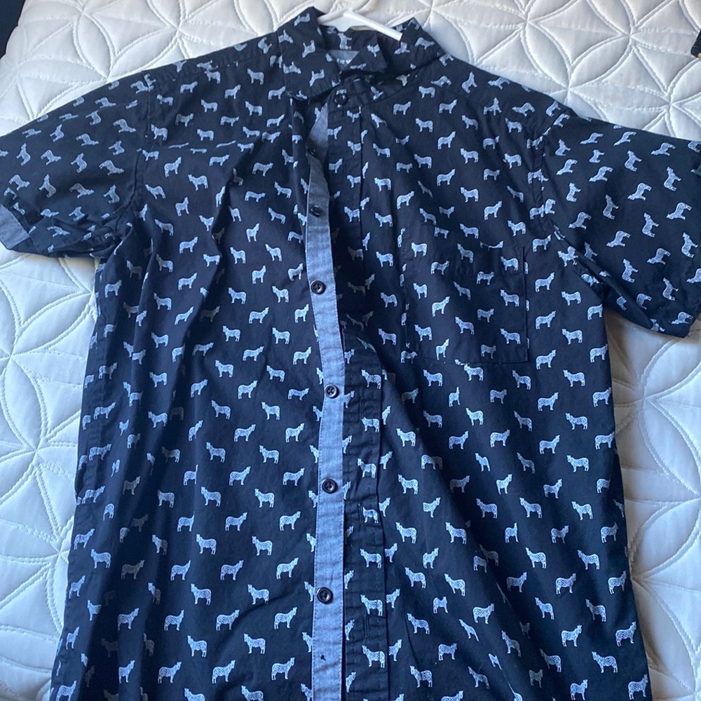 Small button down